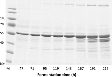 Fig. 9