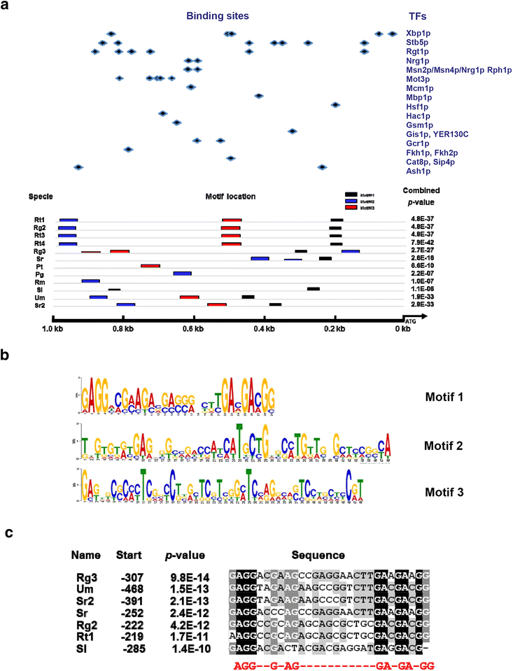 Fig. 4