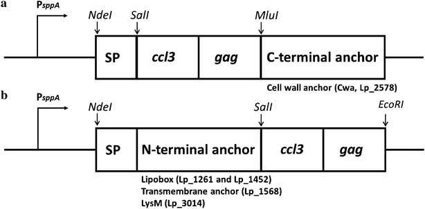 Fig. 1