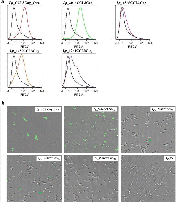 Fig. 4