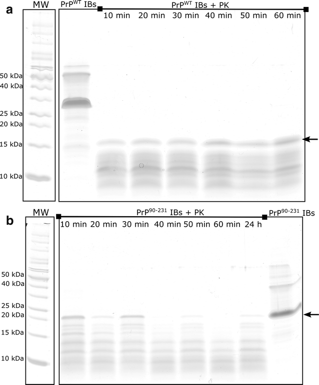 Fig. 11