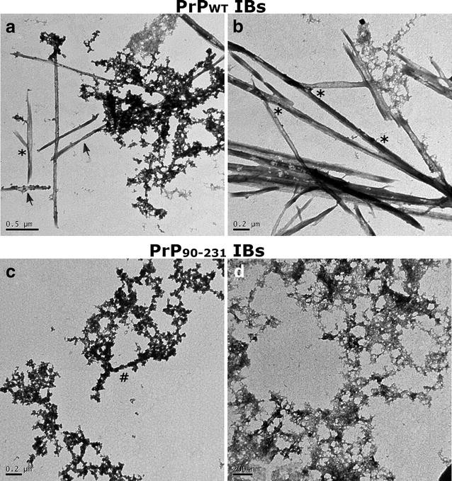 Fig. 7