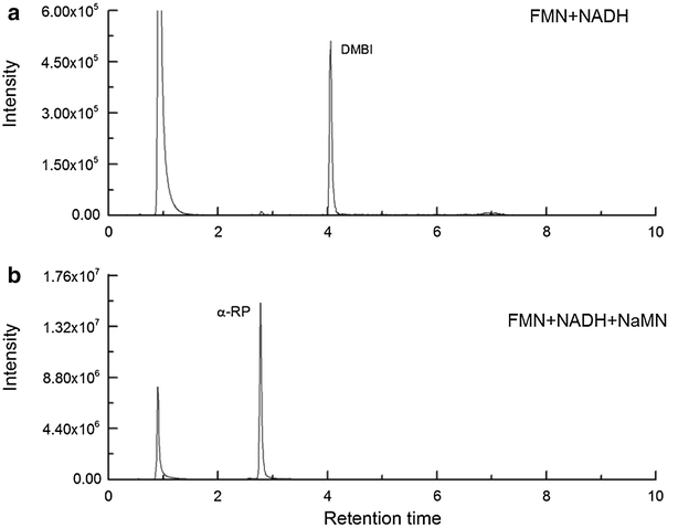 Fig. 4