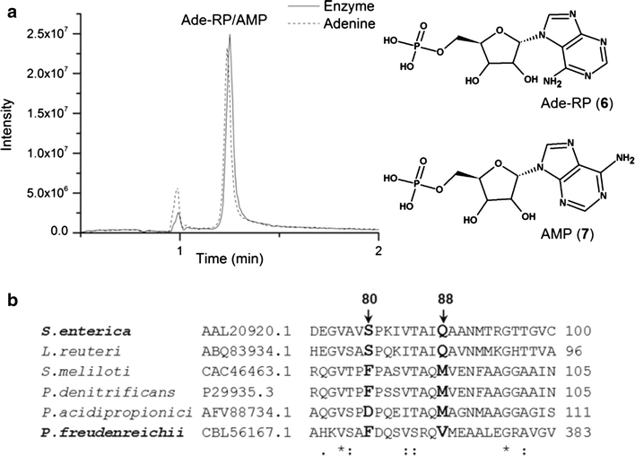 Fig. 6