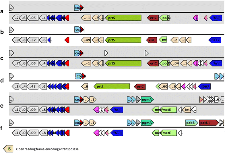 Fig. 1