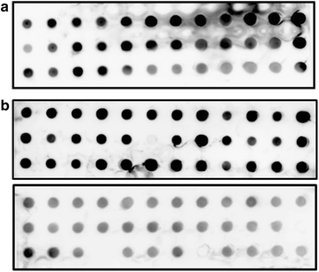 Fig. 5