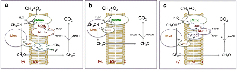 Fig. 2