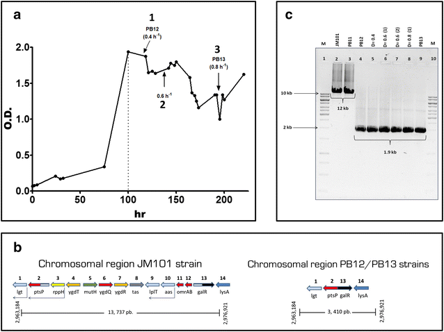 Fig. 1