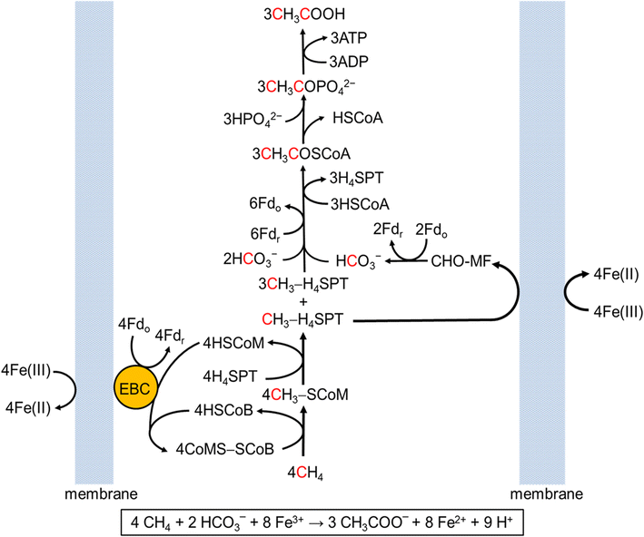 Fig. 6