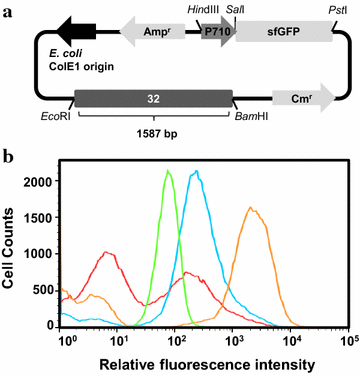 Fig. 1