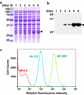 Fig. 2