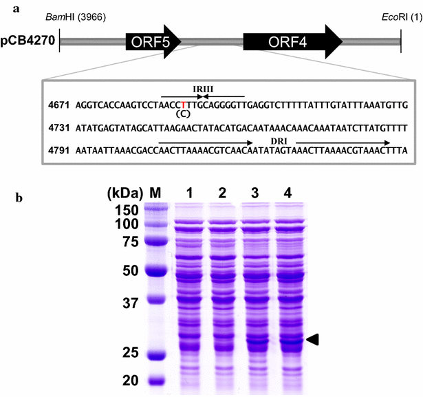 Fig. 4