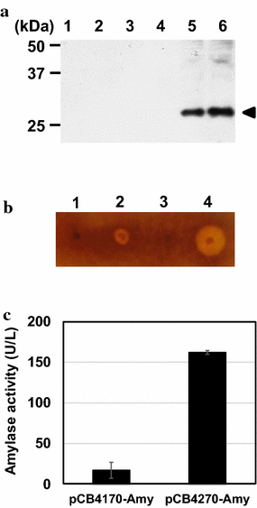 Fig. 6