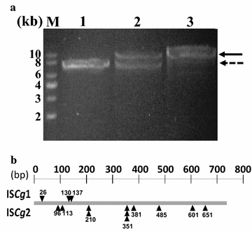 Fig. 2