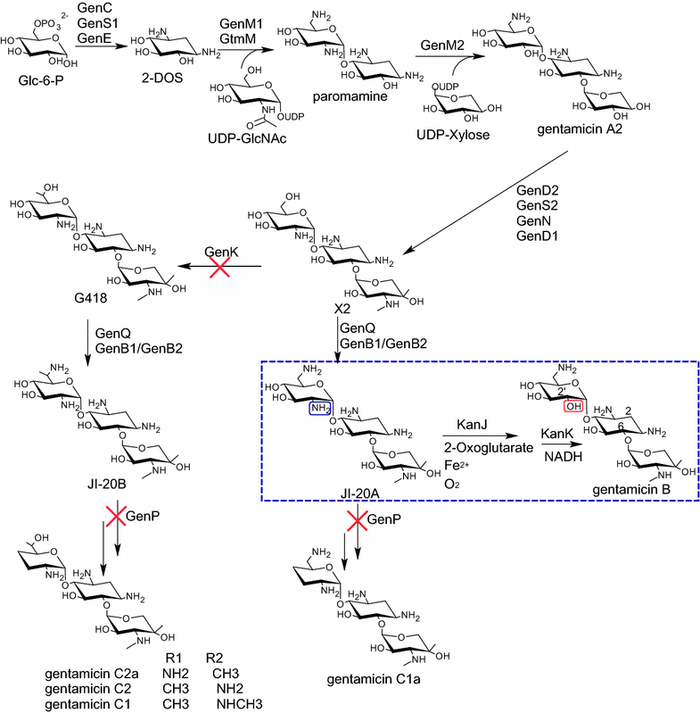 Fig. 1