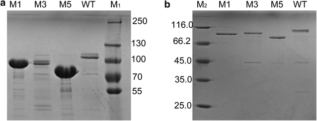 Fig. 3