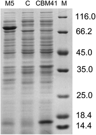 Fig. 6