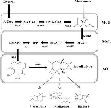 Fig. 1