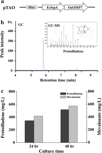 Fig. 2