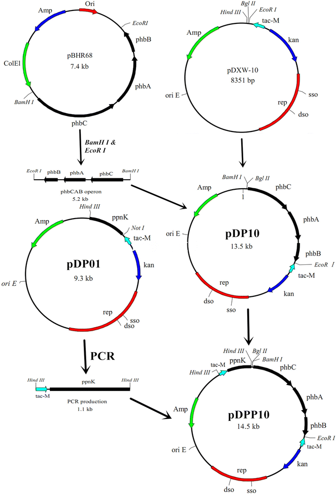 Fig. 1