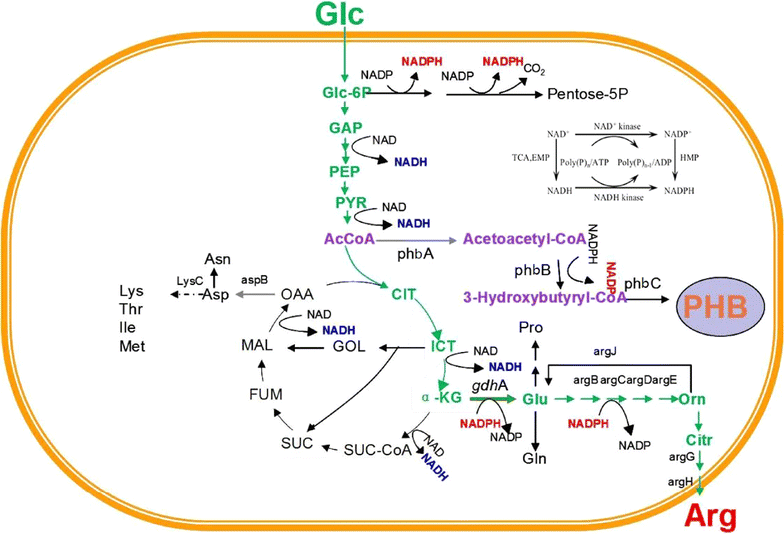 Fig. 2