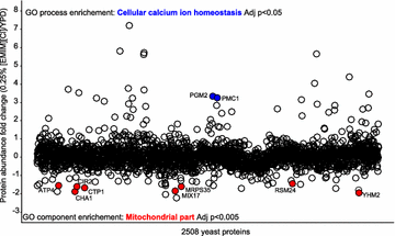 Fig. 3