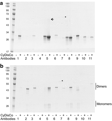 Fig. 2