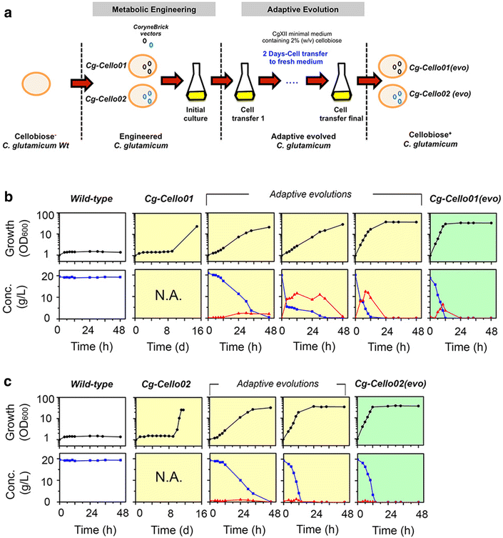 Fig. 2