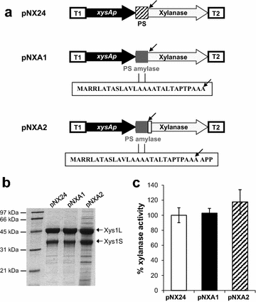 Fig. 3