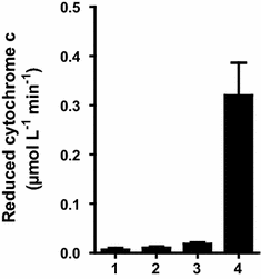 Fig. 4