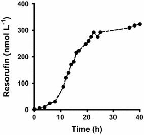 Fig. 7