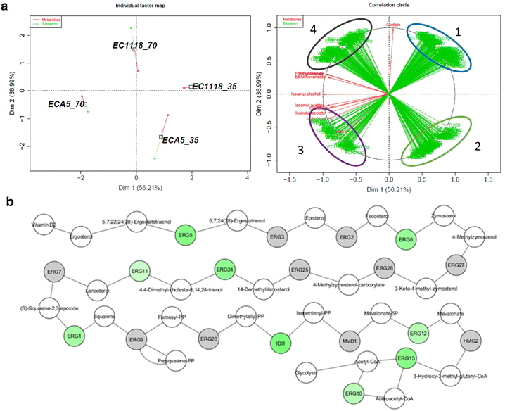 Fig. 6