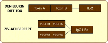 Fig. 5