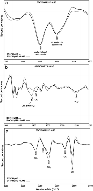 Fig. 4