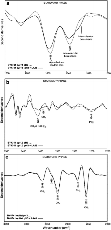 Fig. 6