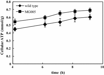 Fig. 4