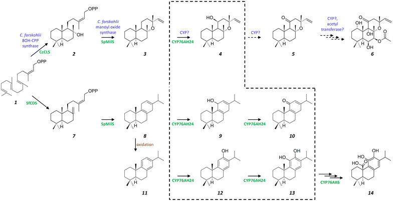 Fig. 2