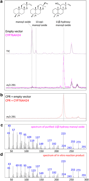 Fig. 4