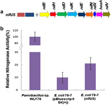 Fig. 4