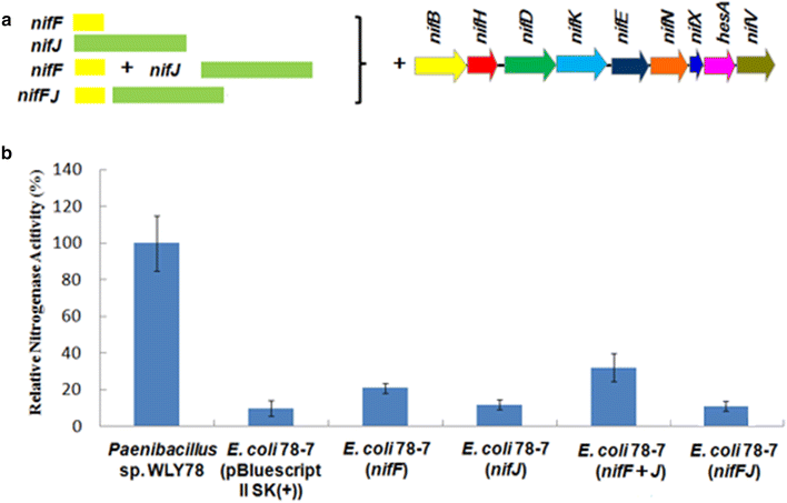 Fig. 6