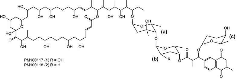 Fig. 1