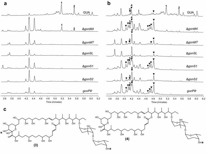 Fig. 7