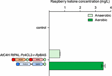 Fig. 5