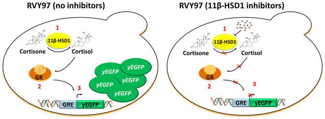 Fig. 1