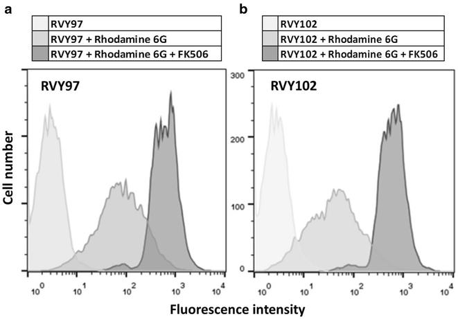 Fig. 7