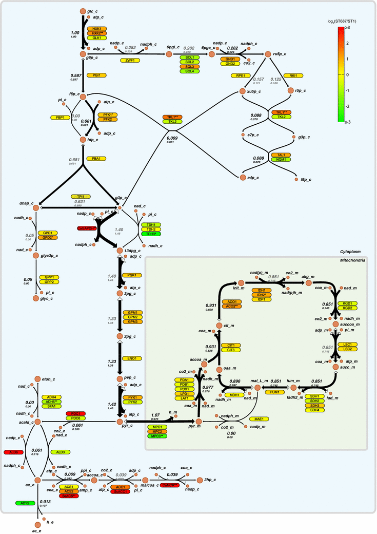 Fig. 5