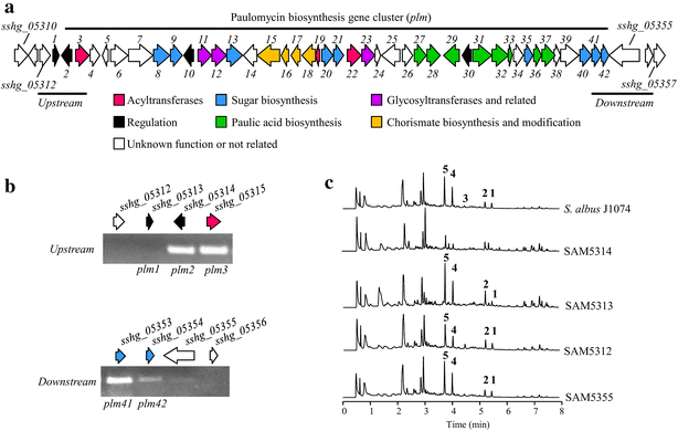 Fig. 2