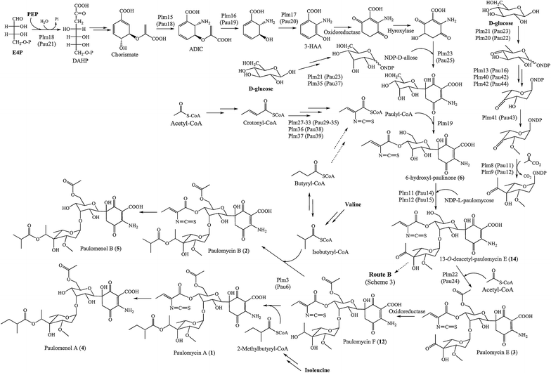 Fig. 7