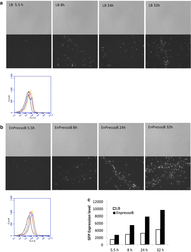 Fig. 7