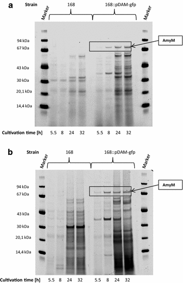 Fig. 8